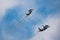 Slovak Air Force Mikoyan-Gurevich MiG-29AS Fulcrum fighter jet display at SIAF Slovak International Air Fest 2019