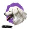 Slovak cuvac dog breed with long fur digital art. Watercolor portrait close up of domesticated animal sticking out