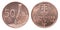 Slovak halier coin