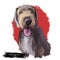 Slovak rough haired pointer sticking out tongue digital art. Pet hand drawn watercolor portrait closeup, doggish muzzle