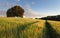 Slovakia summer countryside