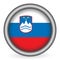 Slovenia flag button
