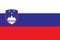 Slovenia Flag vector illustration. Slovenia Flag.