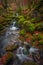 Slovenia - Stream with bridge and wooden houses in autumn woodland with brown and red foliage