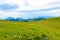 Slovenia velika planina big plateau, agriculture pasture land near city Kamnik in Slovenian Alps. Wooden houses on green land