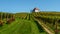 Slovenia - a view of famous vineyard in Skalce, Slovenske Konjice. Scenic, panoramic view of vineyards in sunny day