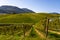 Slovenia - a view of famous vineyard in Skalce, Slovenske Konjice. Scenic, panoramic view of vineyards in sunny day