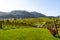 Slovenia - a view of famous vineyard in Skalce, Slovenske Konjice. Scenic, panoramic view of vineyards in sunny day