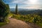 Slovenia - a view of famous vineyard in South Styria. Scenic, panoramic view of vineyards and road at sunset