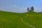 Slovenian countryside in spring with charming little church on a hill and blooming dandelions and daffodils wildflowers. Sunny