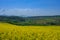 Slovenian countryside in spring with flowering rapeseed field and green nature, in Slovenia