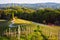 Slovenian heart shape wine road among vineyards in Slovenia