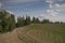 Slovenske Gorice Landscape with vineyards, road and forest