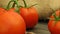 Slow camera pan over organic tomatoes on wooden table