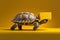 Slow delivery. Turtle delivers the package on yellow background AI Generation