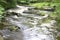 Slow exposure woodland stream.