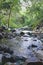 The slow flowing creek in the woods