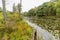 Slow Meandering River Channel in Late Summer - Ontario, Canada