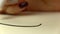 Slow-mo footage. Artist girl hand draw black line brush pen. Close-up