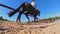 Slow Mo ground view of horse and rider passing in a paddock one sunny summer day