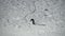 Slow motion active sport male snowboarder ride on track surrounded by snow aerial shot