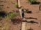 Slow Motion Aerial Shot of Desert Hikers on Rugged Trail