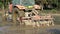 Slow Motion of agrimotor plows rice field in countryside. Closeup of tractor