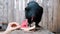 Slow motion black chicken greedily pecks watermelon on a farm from a woman hand close-up