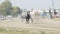 SLOW MOTION: Black racing horse with a jockey trots on a track (front view)