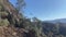 Slow motion capture of 3 California Condors in flight, Pinnacles National Park.