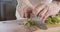 Slow motion of chef knife slicing celery leaves