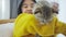 Slow motion Close up of Lovely Asian girl playing with cute kitten, Pretty girl holding a cat closely indoor