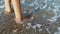 Slow motion closeup barefoot female legs on beach with rolling waves.