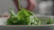 Slow motion closeup fresh spinach leaves falling into white bowl on kitchen countertop