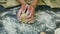 Slow motion closeup of woman hands form ball from little piece of yeast dough