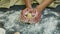 Slow motion closeup woman hands forms ball from small piece of dough