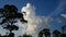 Slow motion of clouds movement in blue sky with tree