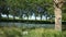 Slow motion - Cycling past trees on the canal du midi in France