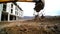 Slow motion of a digger digging a pit and throwing dirt. Close-up of a excavator bucket that throws out the earth. Shot