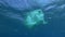 Slow motion, a discarded old green plastic bag slowly drifting under surface of the blue water. Underwater plastic pollution