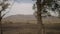 Slow motion driving plate side view from a car of Armenia landscape with mountains and hills in autumn