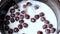 Slow motion falling chocolate cereal balls with milk.
