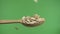 Slow motion. Falling pumpkin seeds into a wooden spoon. Chromakey.