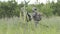 Slow motion of fishermen walking for fishing on river across field. Men spending leisure together and going for fishing