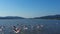 Slow motion of flock of flamingos flying over the sea water.