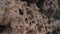 slow motion footage of beautiful brown reef rocks on seaside. Lunar stones with holes at other planets. Extraterrestrial