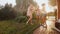 Slow motion footage of happy cheerful family splashing water from hose pipe at garden