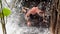 Slow motion footage of Korean man doing push-up exercise under waterfall streams. Man training in wild nature. Press-ups