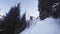 Slow motion footage of skier jumping from tree at mountain, winter