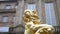SLOW MOTION: Golden Lion Statue Close Up in Kassel, Germany Daylight